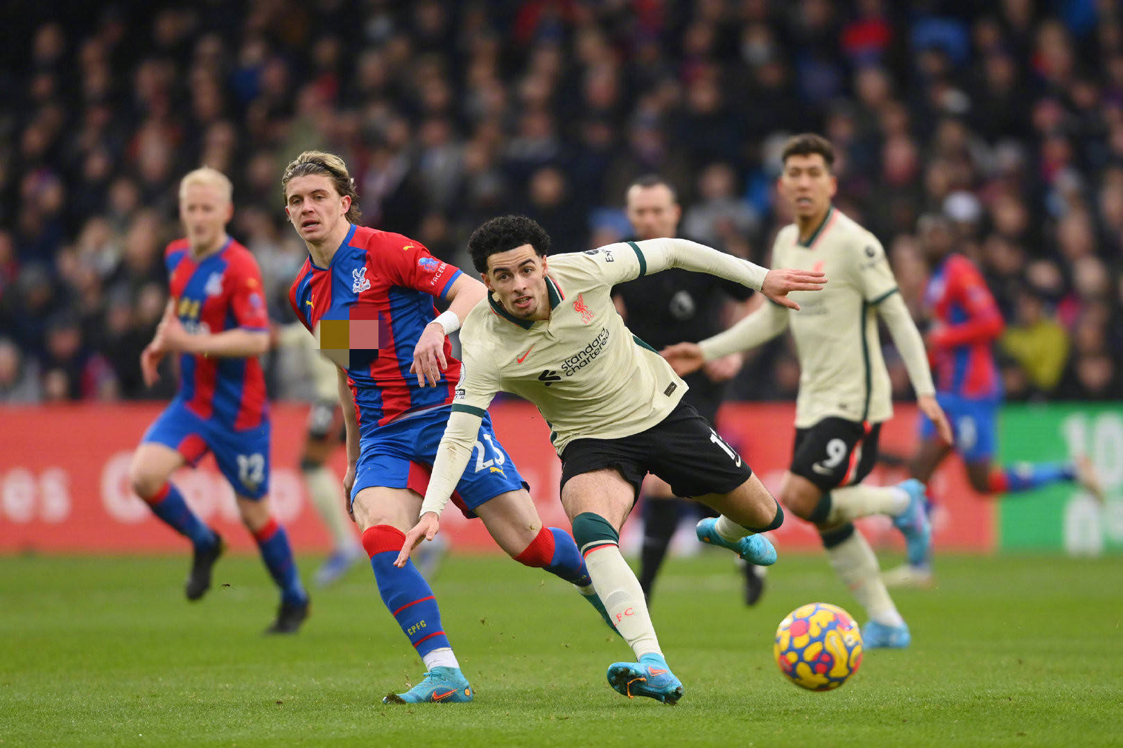 起到了至关 起到了至关